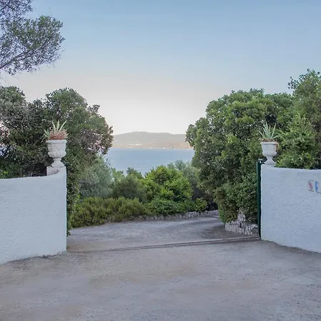 Seafront Paradise * Glífa