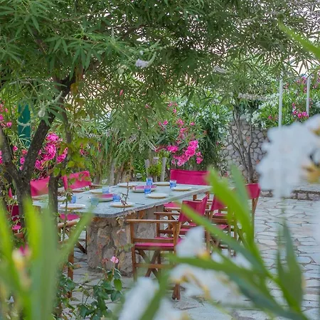 Seafront Paradise بيت للعطل *