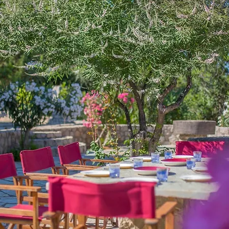 Seafront Paradise * Glífa